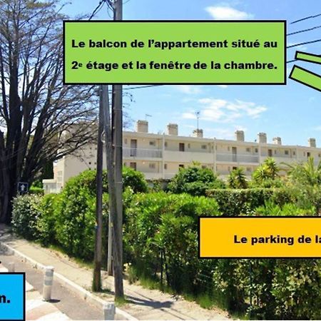 Le Sof Paradis Grand T2 Sur La Plage Des Lecques 滨海圣西尔 外观 照片